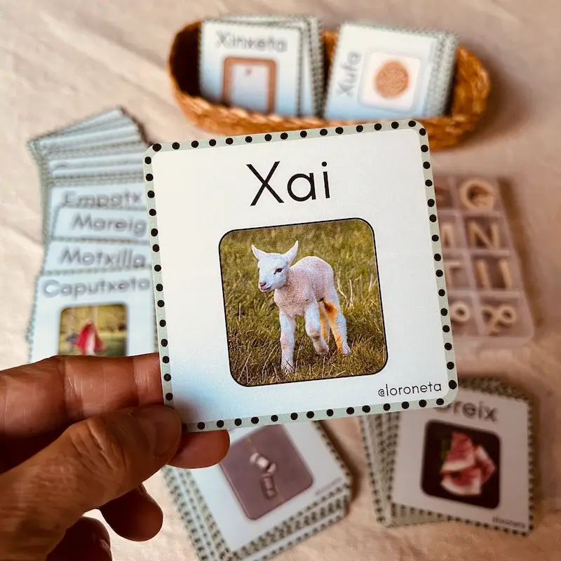 Ortografia visual X-TX-IG - 002